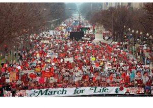 Overhead view of marchers in the March for Life.