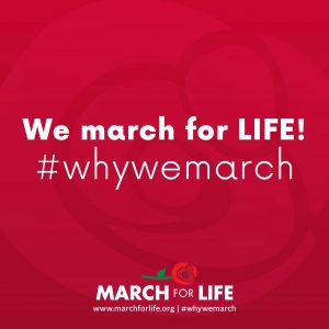 MFL logo why we march