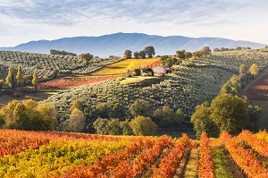 Landscape in Italy