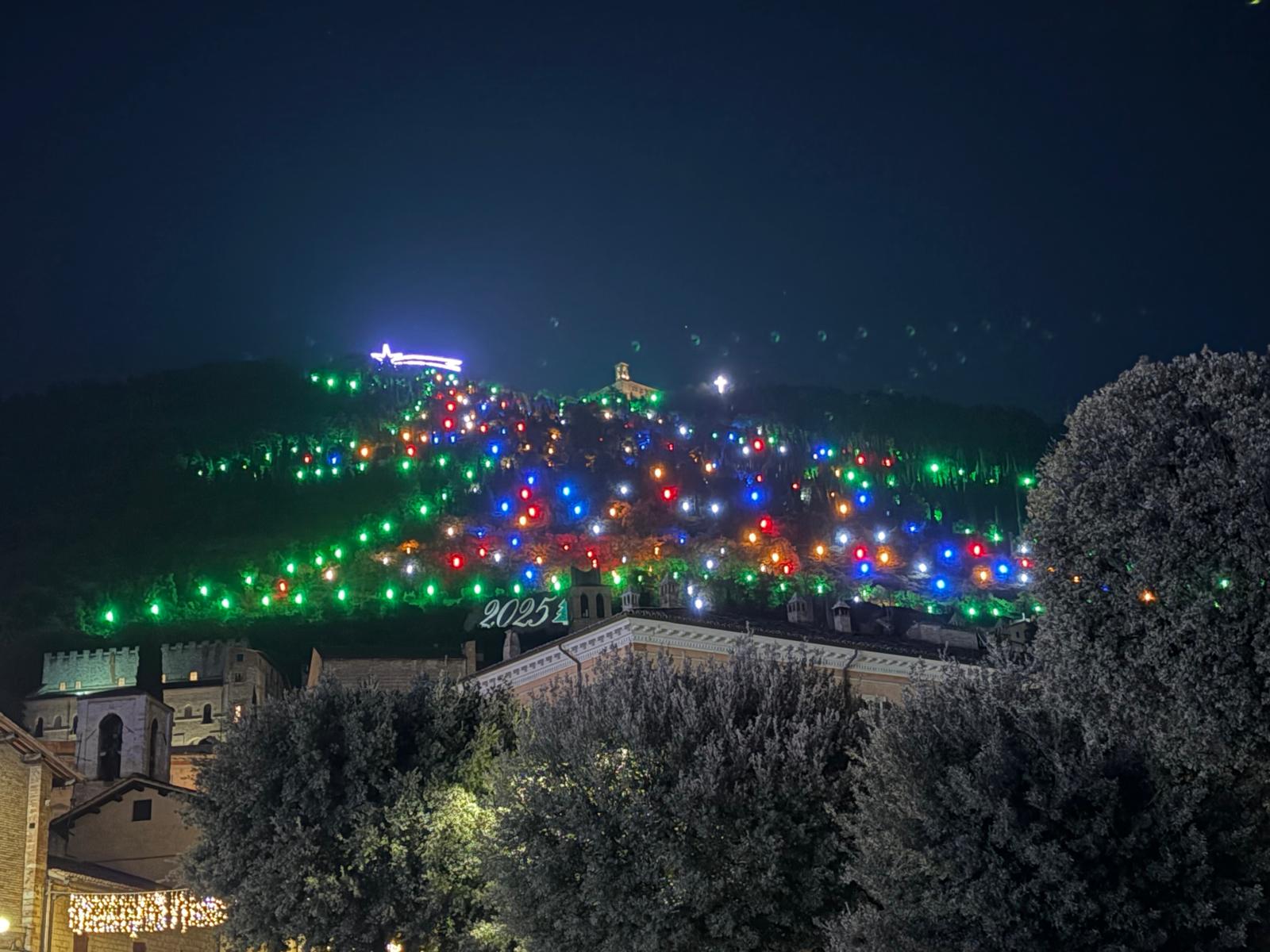 Side of mountain lit in the shape of a Christmas tree